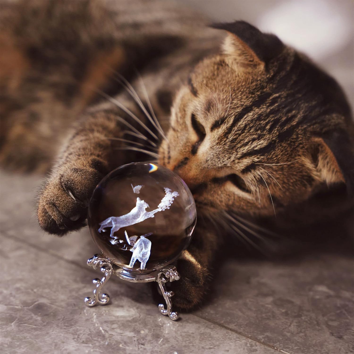 Boule de cristal de chat de 60 - 3D Printing Laser Cutting avis et prix