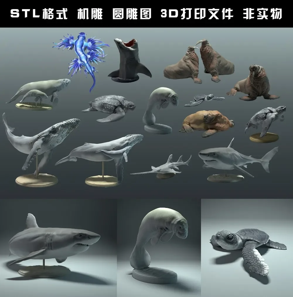 Animaux, ours polaire, takin,  - 3D Printing Rabbit avis et prix