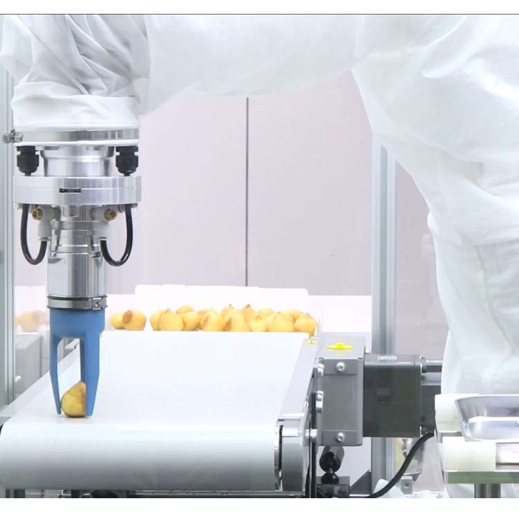 Bras robotique CNC 6 axes avec - Linear Guide Rail avis et prix